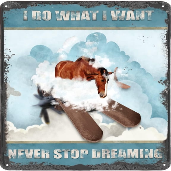I Do What I Want,Never Stop Dreaming,Horse Vintage Tin Sign Horse Lovers Gift Inspirational Quote Sign for Bedroom Bathroom Square Metal Sign 12x12 Inches