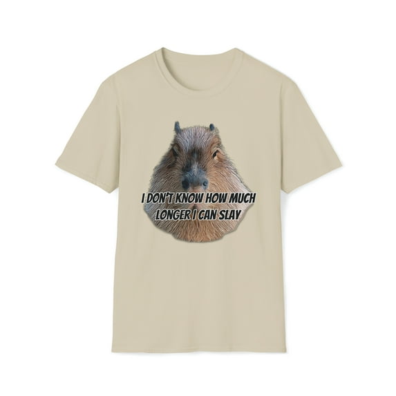 I Don't Know How Much Longer I Can Slay, Gildan Unisex T-Shirt, Meme, S-3XL