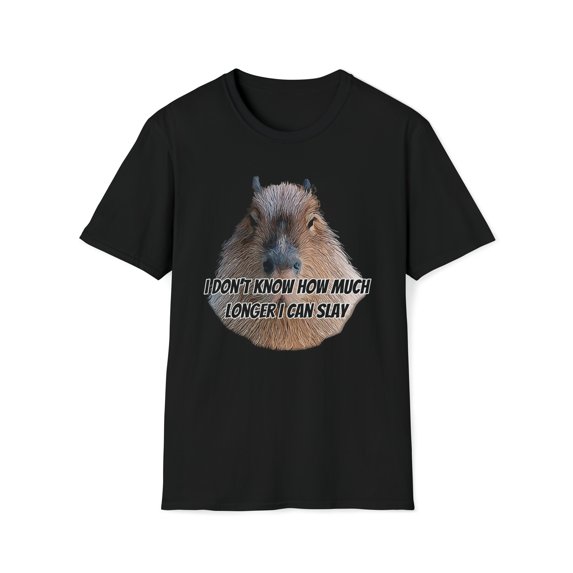 I Don't Know How Much Longer I Can Slay, Gildan Unisex T-Shirt, Meme, S-3XL