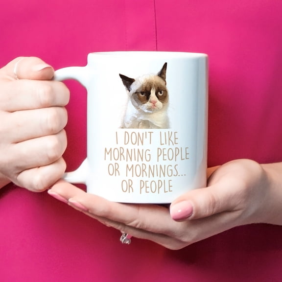 I Donamp39t Like Morning People Or Mornings Grumpy Cat Mug Funny Cat Coffee Mug Rude mug G