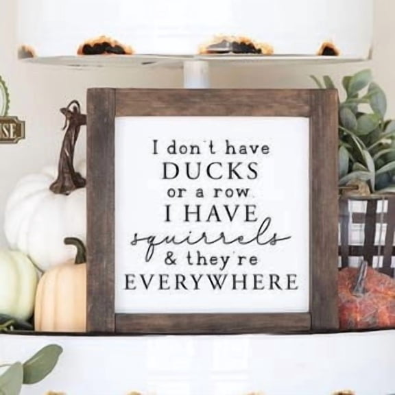 I Dont Have Ducks Squirrels Poster, Poster Home Decor, Poster Only