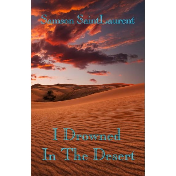 I Drowned In The Desert (Paperback)
