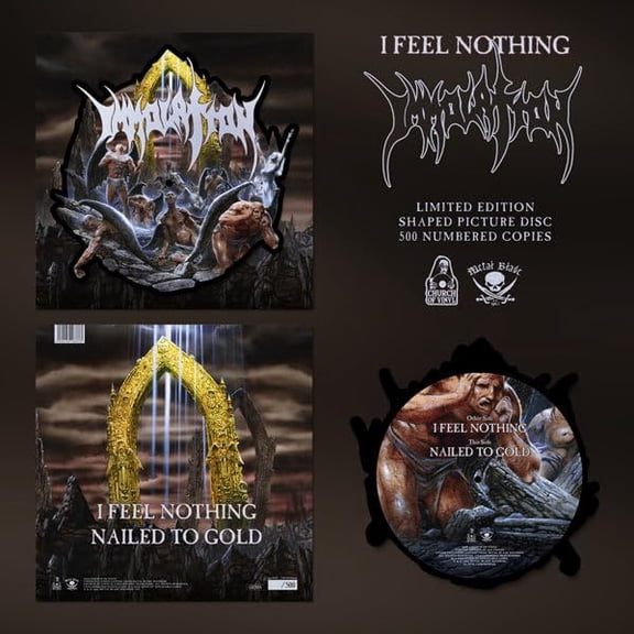 Immolation I Feel Nothing (Vinyl Record) 12" Album Picture Disc