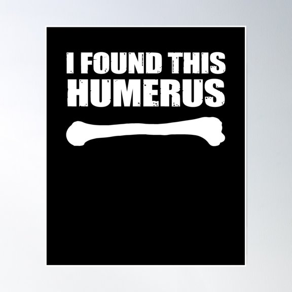I Found This Humerus Poster Wall Art, Modern Wall Decor, 24x36 UNFRAMED