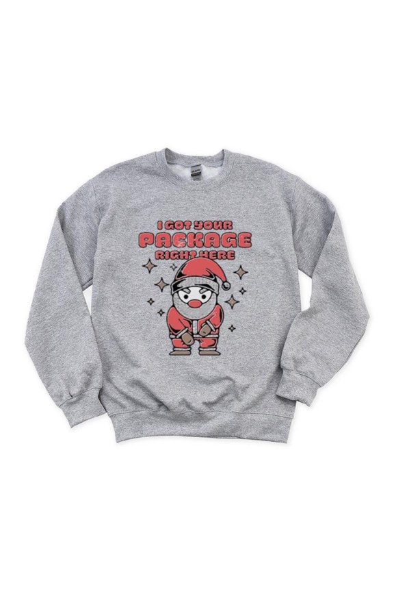 I Got Your Package Right Here Funny Delivery Driver Mail Sweatshirt, for men & women, up to size 5XL