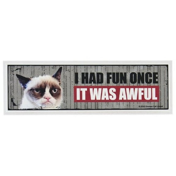 I Had Fun Once, It Was Awful - Grumpy Cat Desk Sign by Ganz