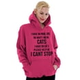thumbnail image 1 of I Have 99 Problems I Mean Cats Funny Hoodie Sweatshirt Women Brisco Brands L, 1 of 6
