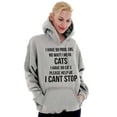 thumbnail image 1 of I Have 99 Problems I Mean Cats Funny Women Plus Size Graphic Pullover Hoodie Brisco Brands 3X, 1 of 2
