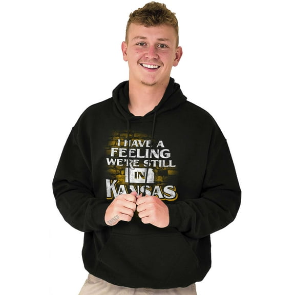 I Have A Feeling Were Still In Kansas Hoodie Sweatshirt Women Men Brisco Brands S