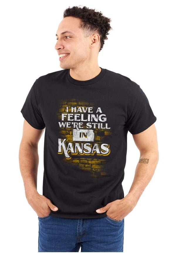 I Have A Feeling Were Still In Kansas Men's Graphic T Shirt Tees Brisco Brands L
