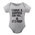 thumbnail image 1 of I Have A Surprise for You It's Poop - Baby Clothes - Funny Newborn Bodysuit Outfits for Boys And Girls Gray-style-1 12months, 1 of 7