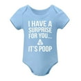 thumbnail image 1 of I Have A Surprise for You It's Poop - Baby Clothes - Funny Newborn Bodysuit Outfits for Boys And Girls Sky Blue-style 3months, 1 of 7