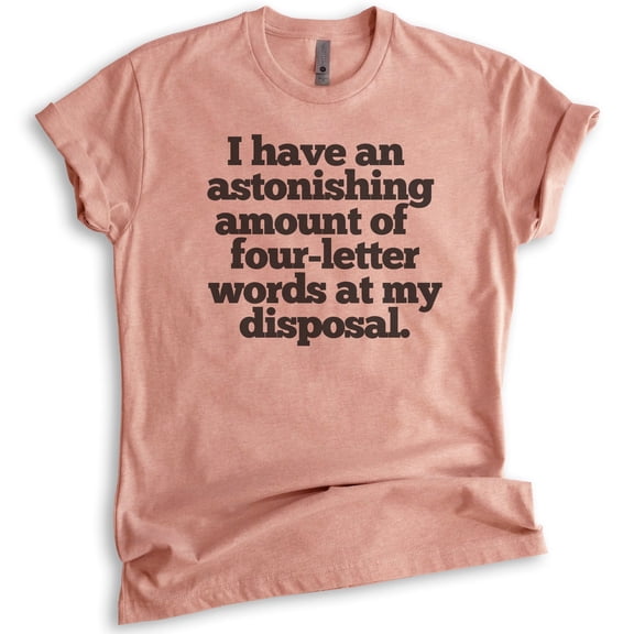I Have An Astonishing Four-letter Words T-shirt, Unisex Women's Men's Shirt, Sarcastic Sassy Shirt, Heather Sunset, Large