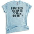 thumbnail image 1 of I Have Been Known To Scream Profanity T-shirt, Unisex Women's Men's Shirt, Sassy Shirt, Heather Light Blue, 3X-Large, 1 of 6