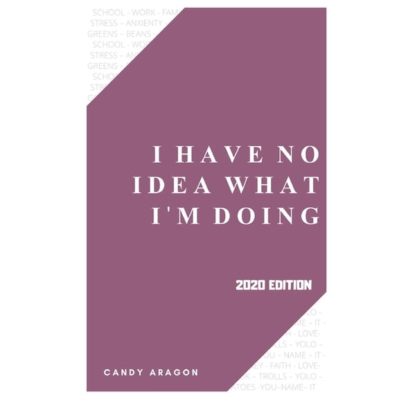 I Have No Idea What Im Doing (Paperback)
