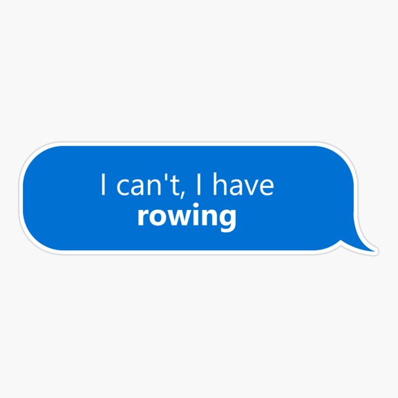 I Have Rowing Er, Phone Decal Water Bottle Stickers Car Decals, Funny Birthday Gift