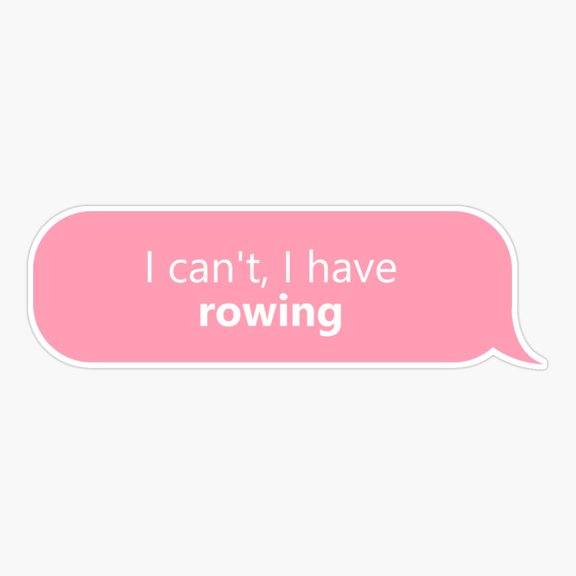 I Have Rowing In Pink Er, Phone Decal Water Bottle Stickers Car Decals, Funny Birthday Gift