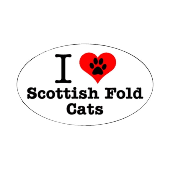 I Heart (Love) Scottish Fold Blue Cats Flexible Car Bumper Magnet - 5x3 Inch Oval - 1 Magnet