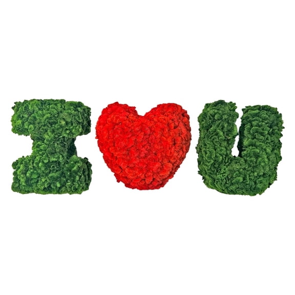 I Heart / Love You Preserved Bowl Filler Set Romantic Floral Decor- Green Red