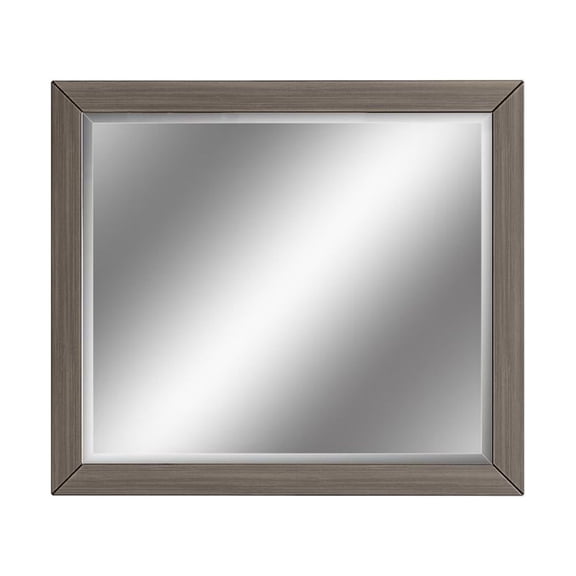 I Home Furnishings Asheville Driftwood Mirror