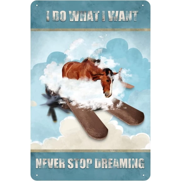 I Do What I Want,Never Stop Dreaming,Horse Vintage Tin Sign Horse Lovers Gift Inspirational Quote Sign for Bedroom Living Room Bathroom Metal Sign 12x8 Inch