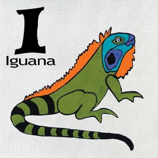 I - Iguana Canvas Art - Shanni Welsh (24 x 24)