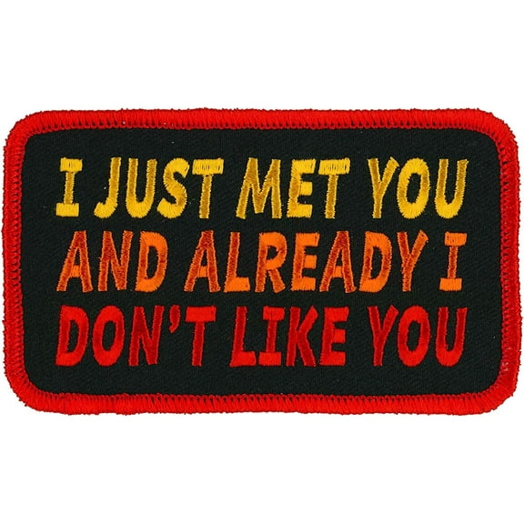 I Just Met You and Already I Don't Like You - Embroidered Iron-on/Sew-on Rayon Patch - 4" x 3"