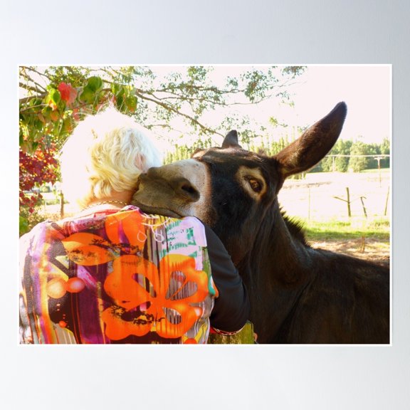 I Just Need A Shoulder To Lean On - Donkey - Nz Poster Wall Art, Modern Wall Decor, 12x18 UNFRAMED