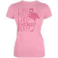 thumbnail image 1 of I Just Really Like Flamingos Juniors Soft T Shirt Blush Pink MD, 1 of 1