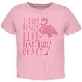 thumbnail image 1 of I Just Really Like Flamingos Toddler T Shirt Light Pink 3T, 1 of 1