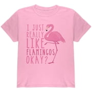 I Just Really Like Flamingos Youth T Shirt Light Pink YXL