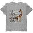 thumbnail image 1 of I Just Really Like Giraffes Ok Youth T Shirt Heather YLG, 1 of 1