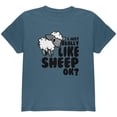 thumbnail image 1 of I Just Really Like Sheep Cute Youth T Shirt, 1 of 1