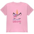 thumbnail image 1 of I Just Really Like Unicorns ok? Youth T Shirt Light Pink YXL, 1 of 1