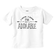thumbnail image 1 of I Know I'm Adorable Charming Cute Youth T Shirt Tee Girls Infant Toddler Brisco Brands 24M, 1 of 6