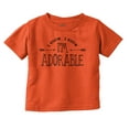 thumbnail image 1 of I Know I'm Adorable Charming Cute Youth T Shirt Tee Girls Infant Toddler Brisco Brands 2T, 1 of 6