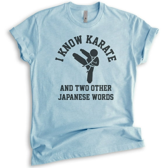 I Know Karate And Two Other Japanese Words Shirt, Unisex Women's Men's Shirt, Karate Tee, Jiu Jitsu MMA T, Heather Light Blue, XX-Large