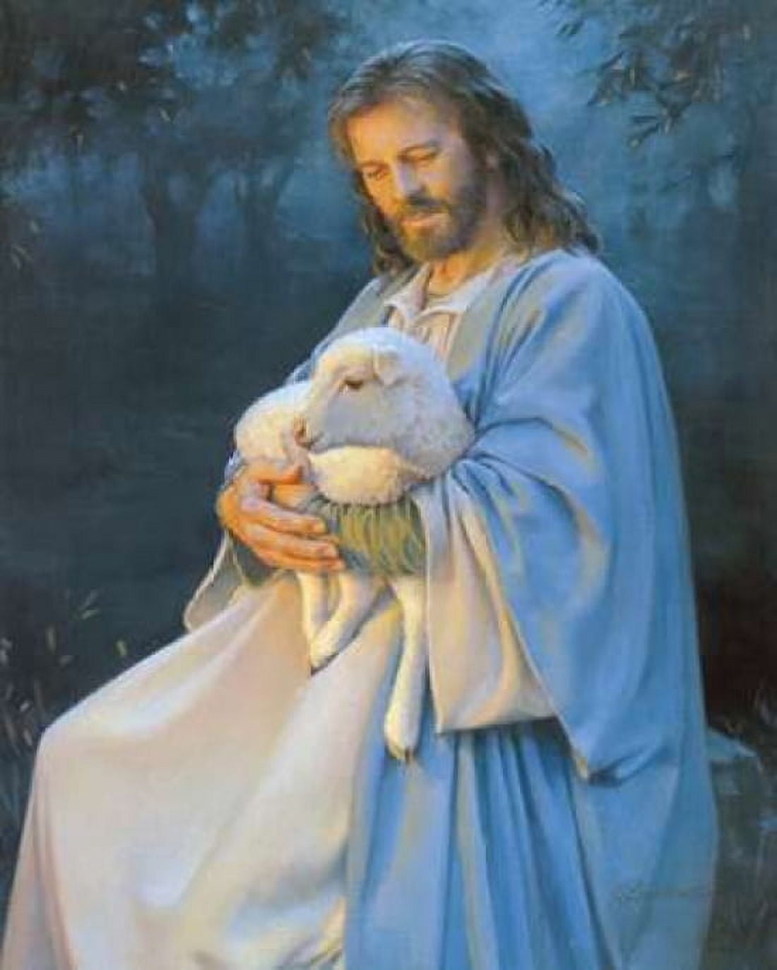 I Know My Sheep Canvas Art - Kathy Lawrence (24 x 30)