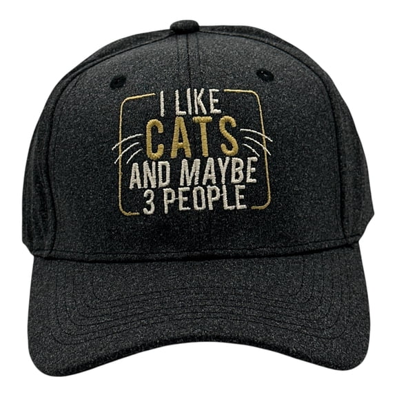 I Like Cats and Maybe 3 People Hat Funny Sarcastic Kitten Graphic Novelty Cap