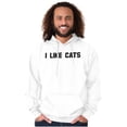 thumbnail image 1 of I Like Cats Funny Feline Pet Lovers Unisex Plus Fleece Graphic Hoodie Brisco Brands 5X, 1 of 5