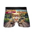 thumbnail image 1 of I Like Fishing, and My Ragdoll, and Maybe 3 People. Happy Father's Day All Over Print Boxer Briefs Underwear for Men Dad Cat Lover Kitten Owner Gifts Idea - 00004, 1 of 6