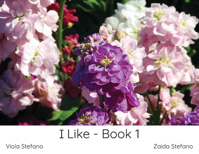 I Like I Like - Book 1, Book 1, (Paperback)