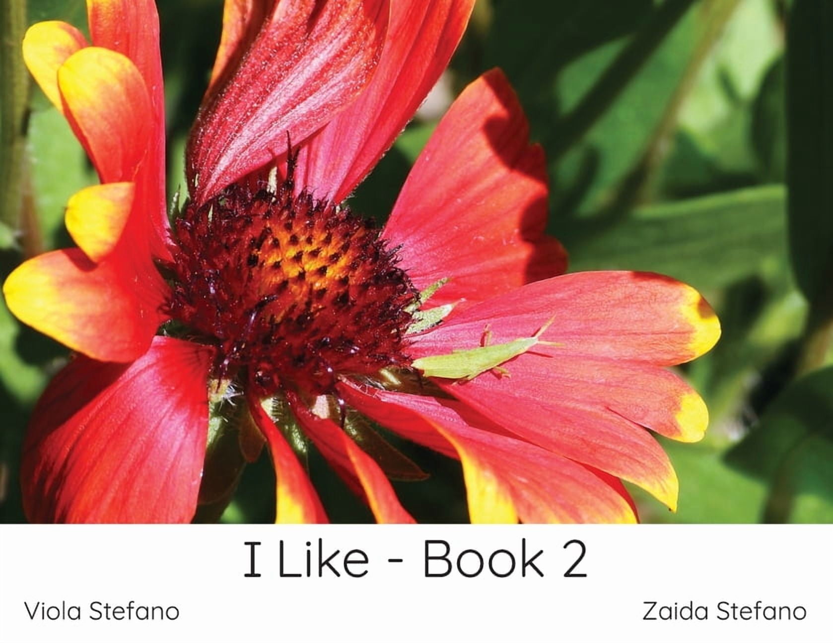 I Like I Like - Book 2, Book 1, (Paperback)