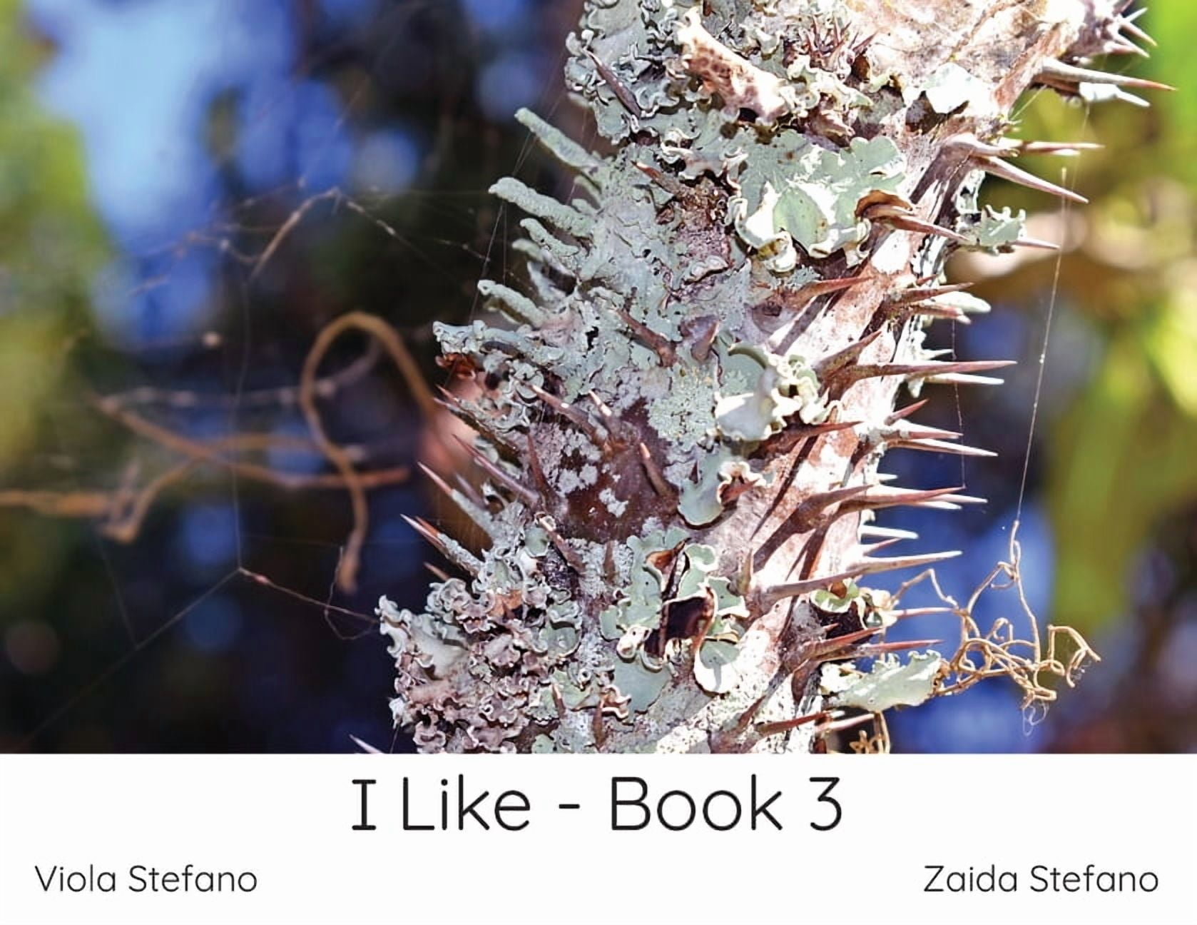I Like I Like - Book 3, Book 1, (Paperback)