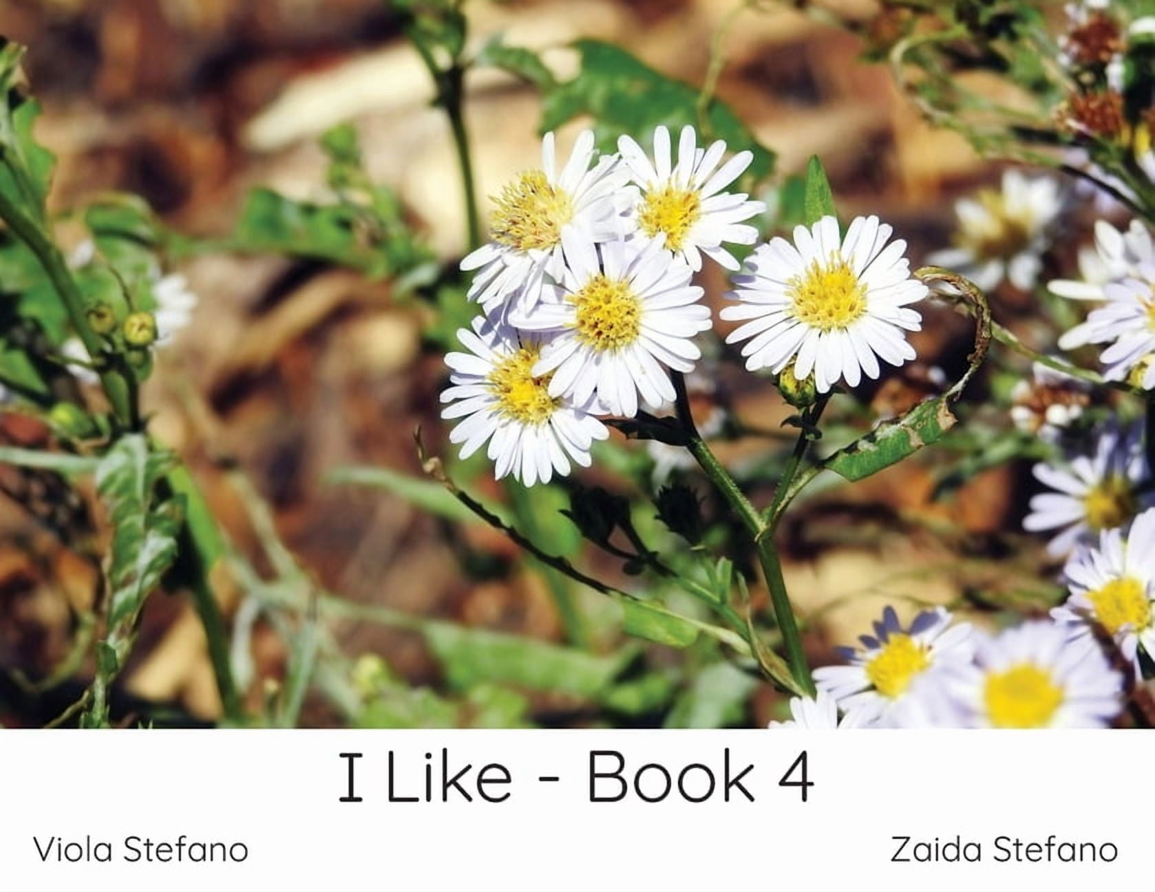 I Like I Like - Book 4, Book 1, (Paperback)