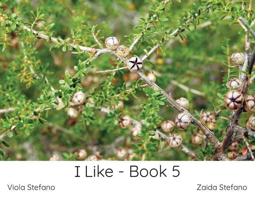 I Like I Like - Book 5, Book 1, (Paperback)