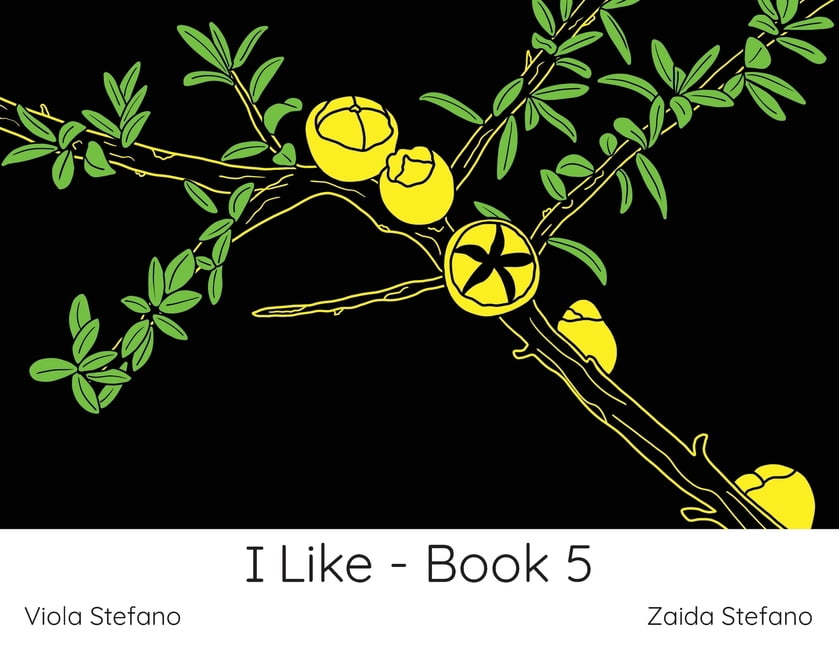 I Like I Like - Book 5: VI, Book 1, (Paperback)