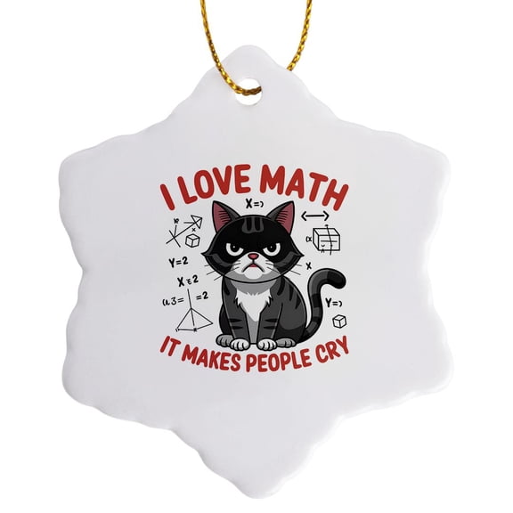 3drose, I like Math. It Makes People Cry Funny Sad Cat. Cool Pi Day Gift, 3 inch Snowflake Porcelain Ornament