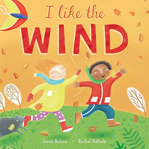 Pre-Owned I Like the Wind (Hardcover) 1646860942 9781646860944