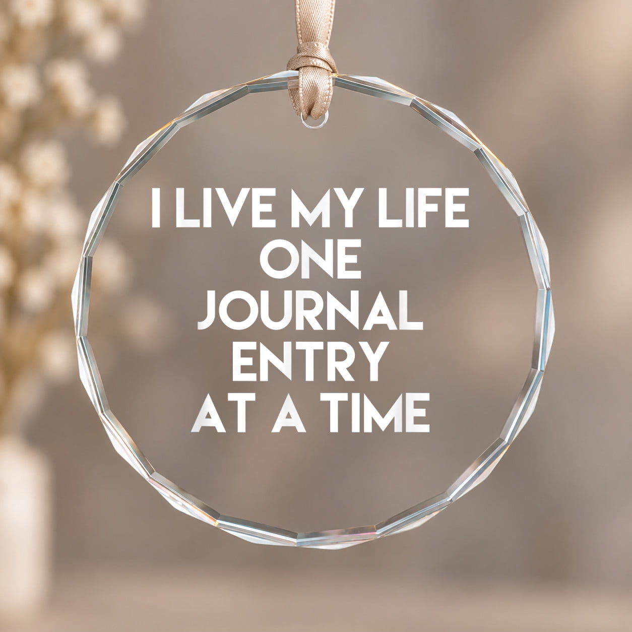 I Live My Life One Journal Entry at a Time Accounting Christmas ...